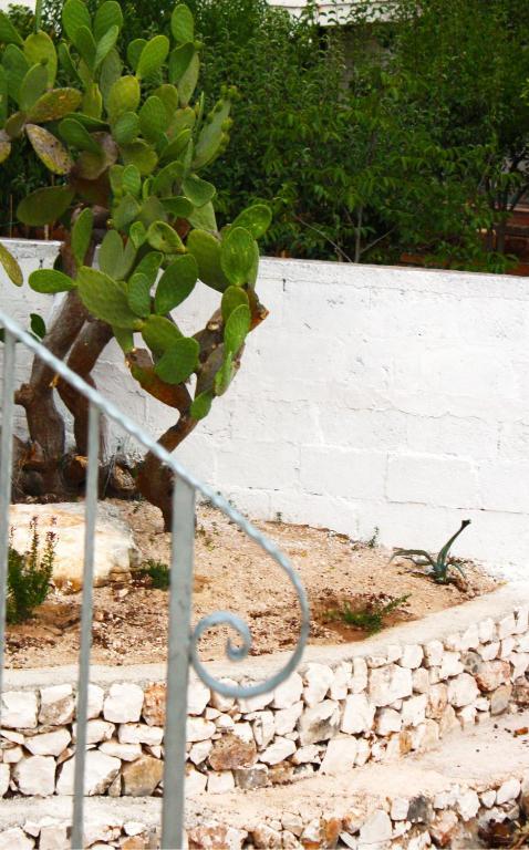 B&B Margherita Ostuni Exterior foto